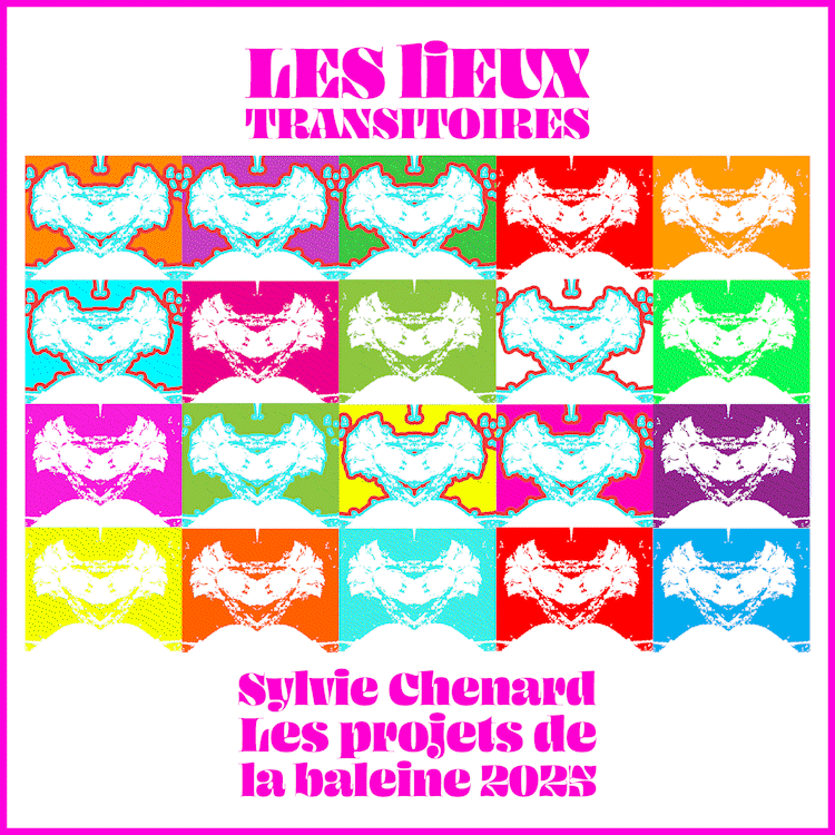 Album Lieux des limites