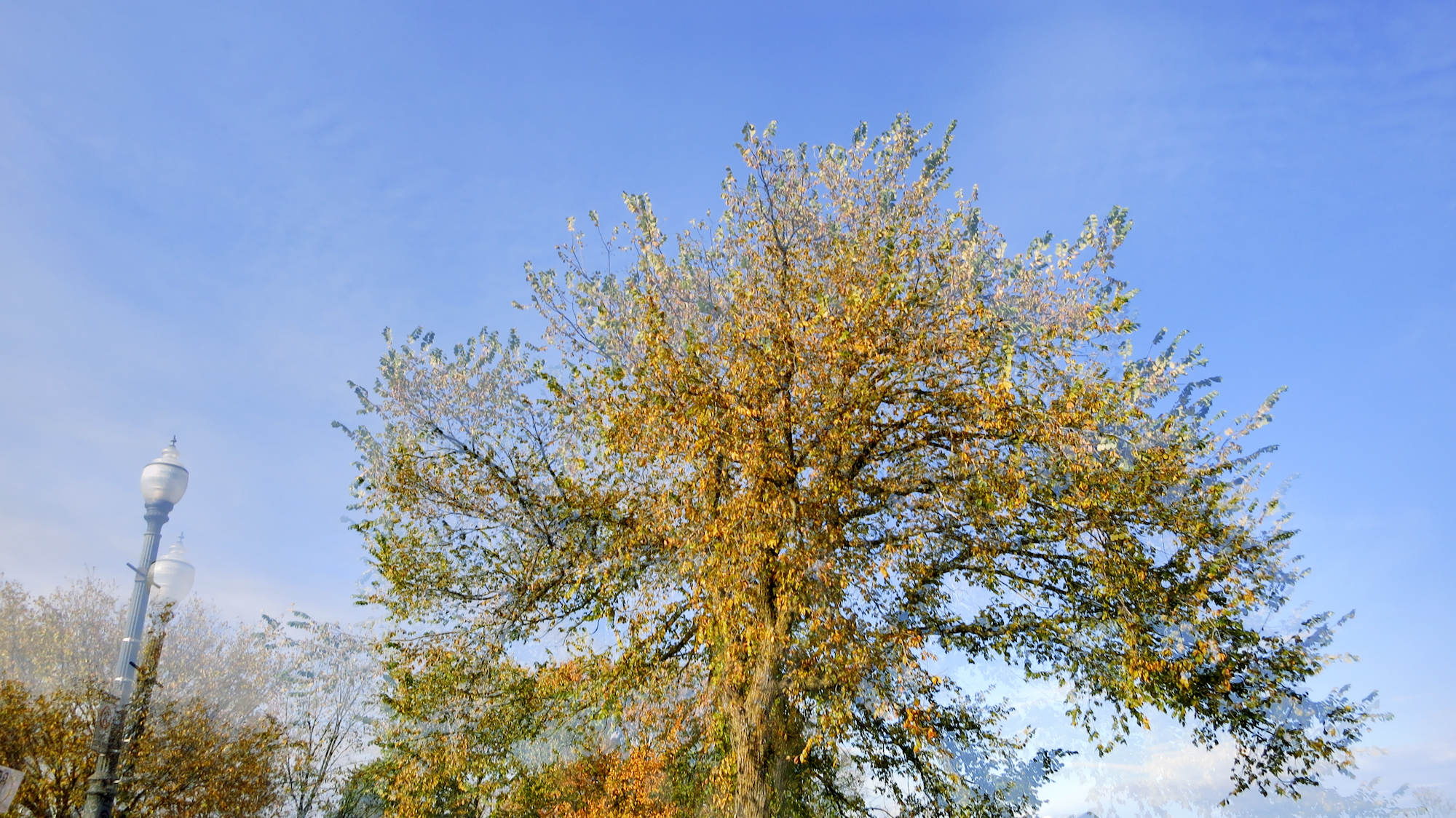 Image art de Sylvie Chenard