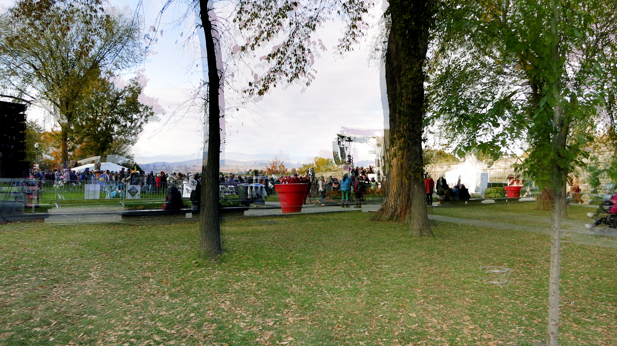 Image art de Sylvie Chenard