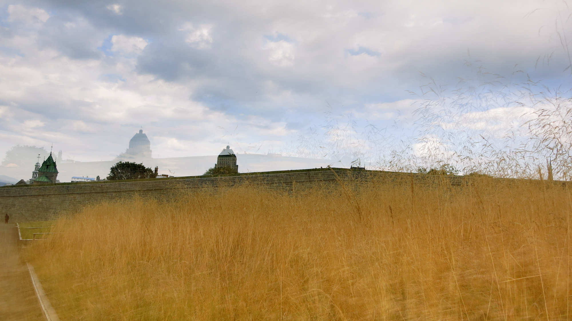 Image art de Sylvie Chenard