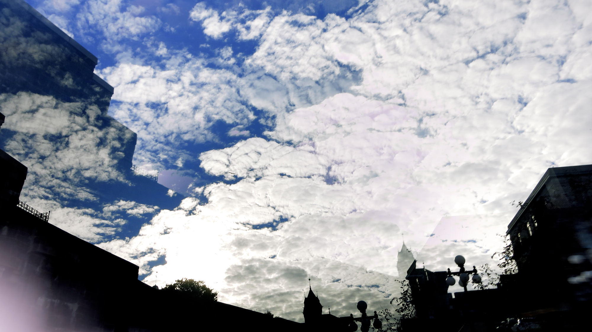 Image art de Sylvie Chenard