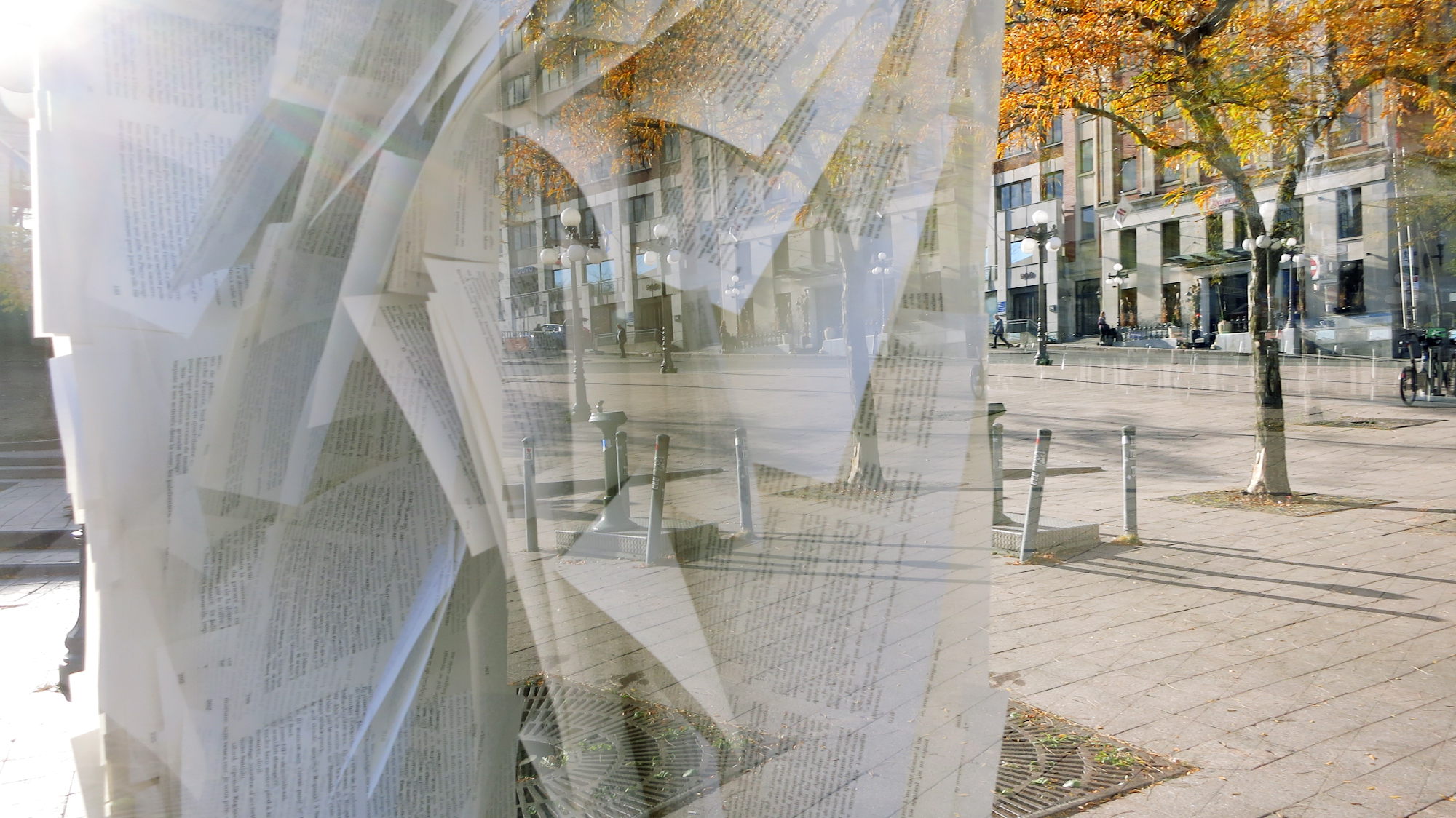 Image art de Sylvie Chenard