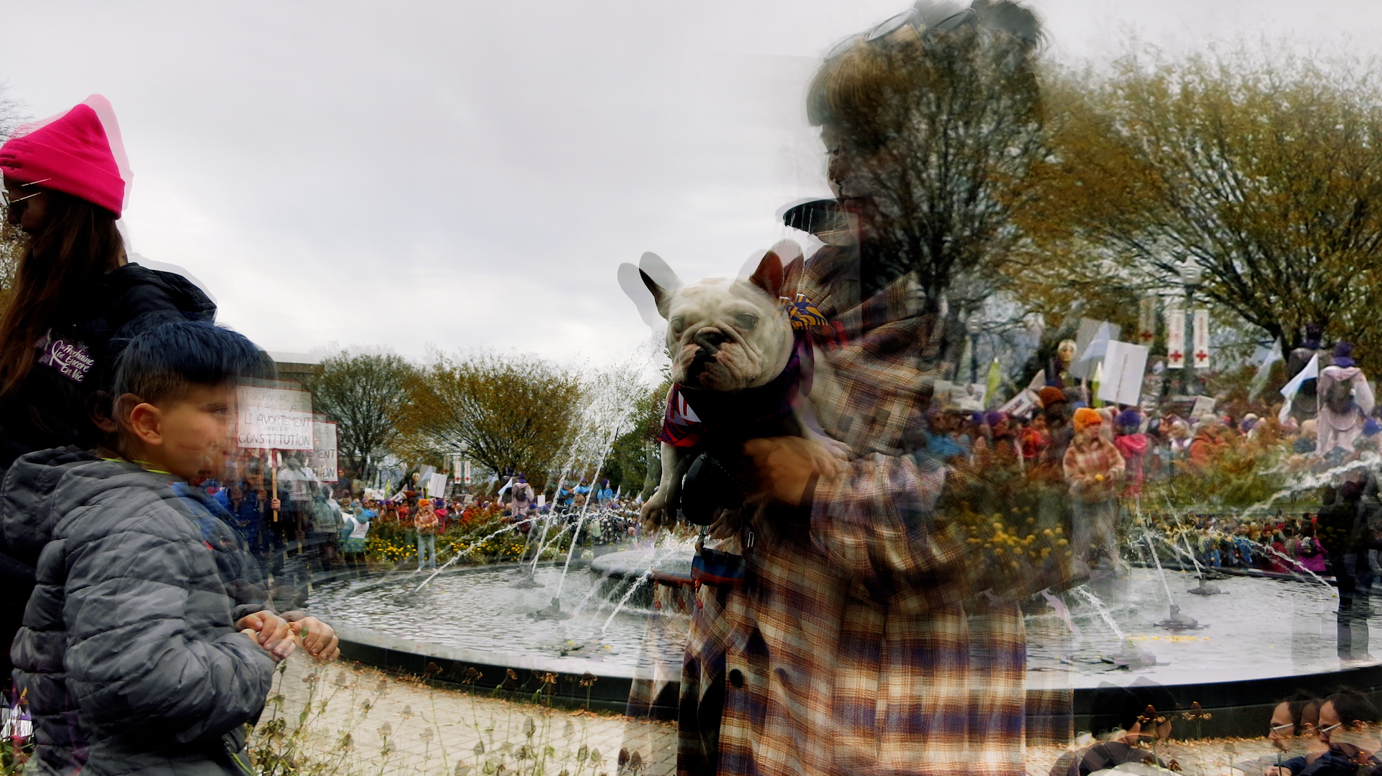 Image art de Sylvie Chenard