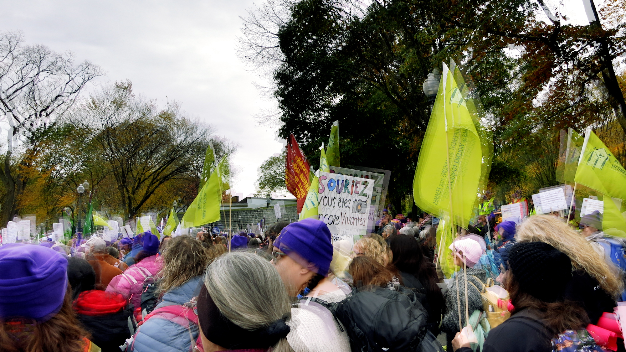 Image art de Sylvie Chenard