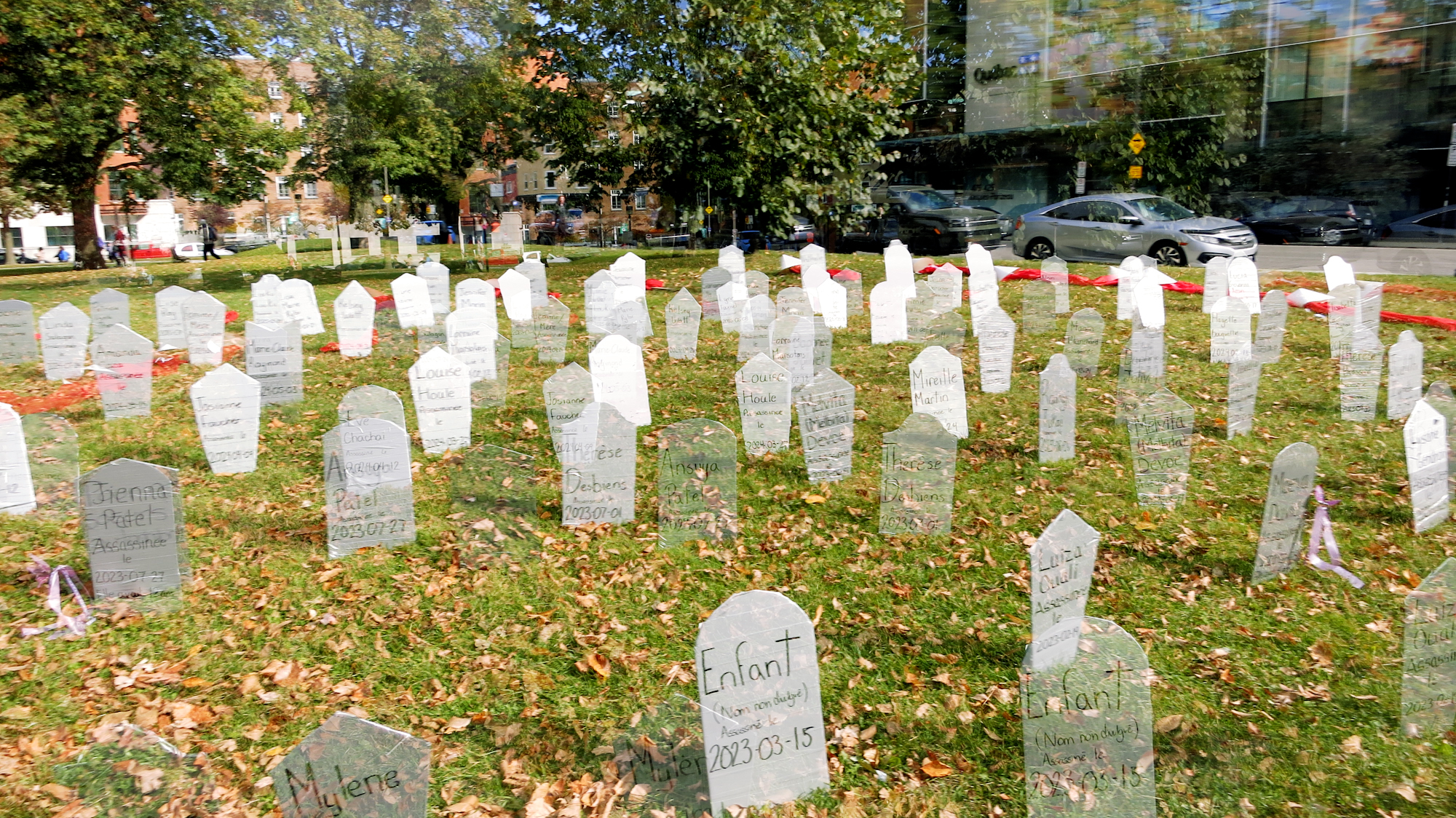 Image art de Sylvie Chenard