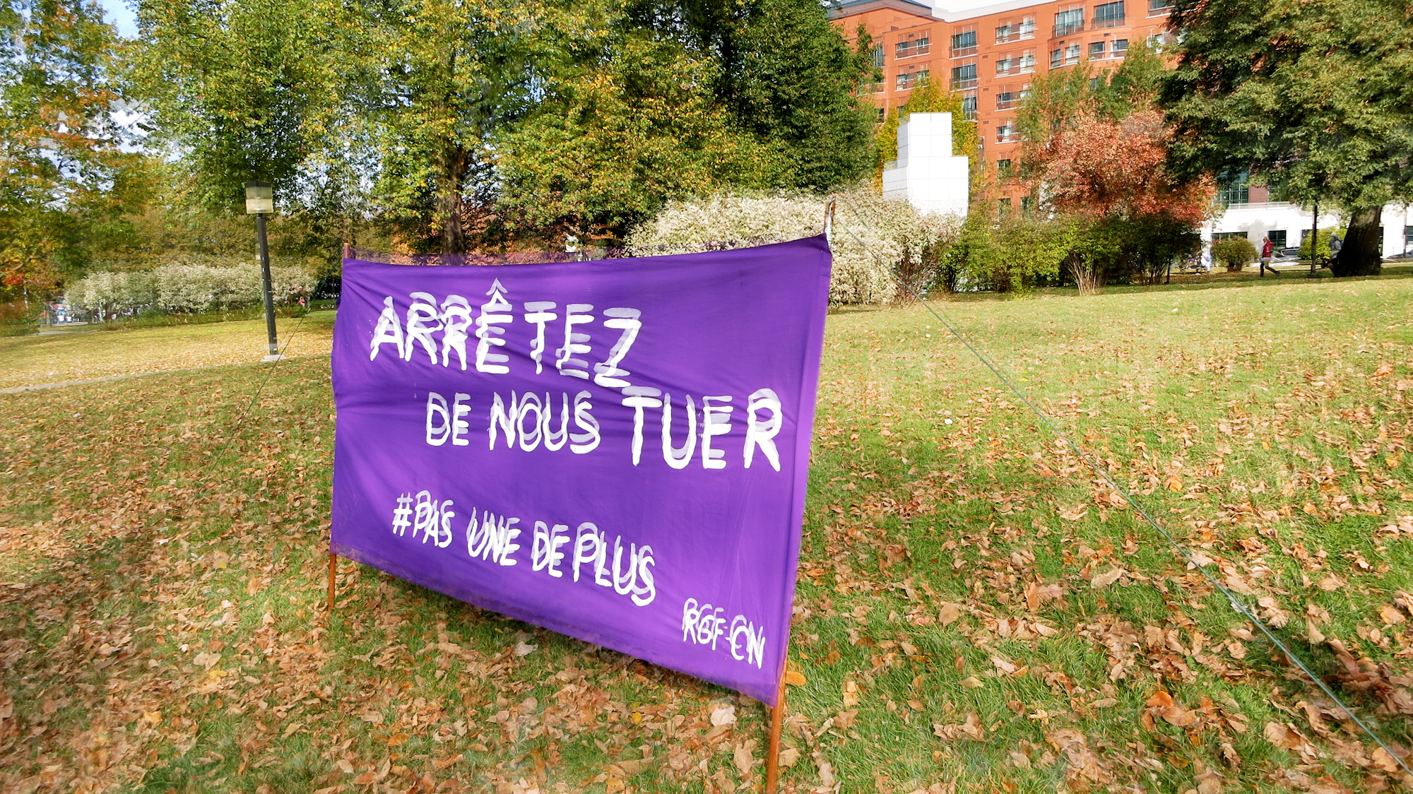 Image art de Sylvie Chenard