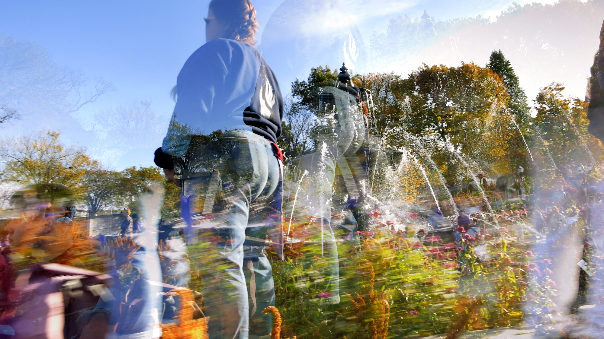 Image art de Sylvie Chenard